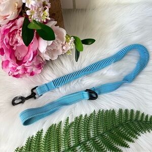 Flexible Dog Leash- Blue